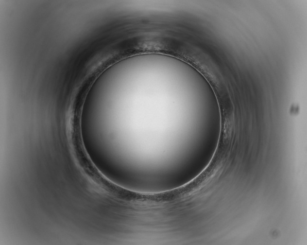 X0000102850722200808181417
