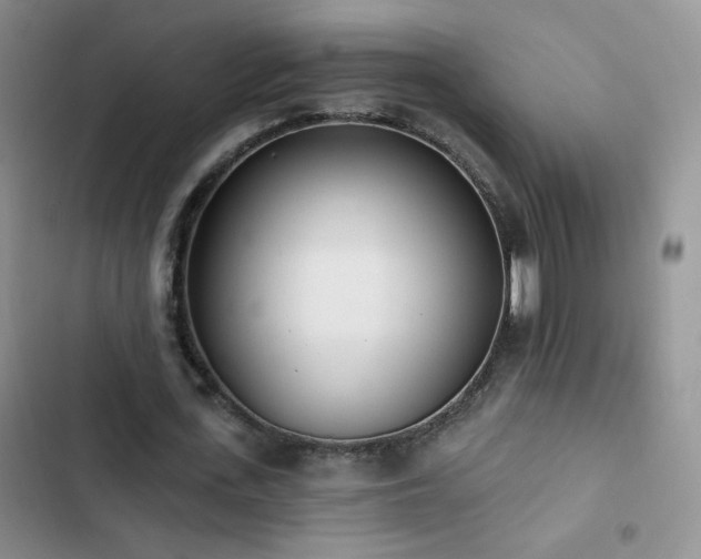 X0000102850723200808181417