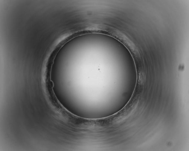 X0000102850724200808181417