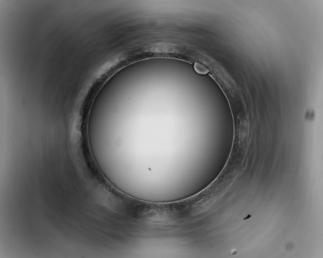 X0000102850727200808181417