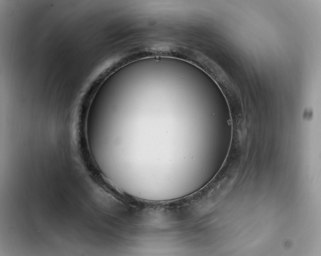 X0000102850728200808181417