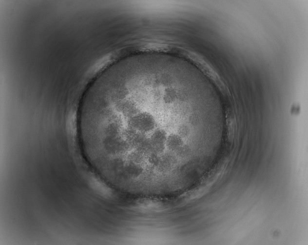 X0000102850729200808181417