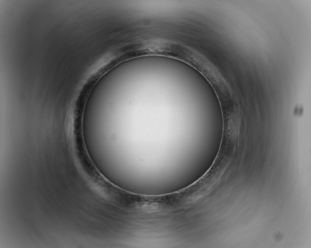 X0000102850730200808181417