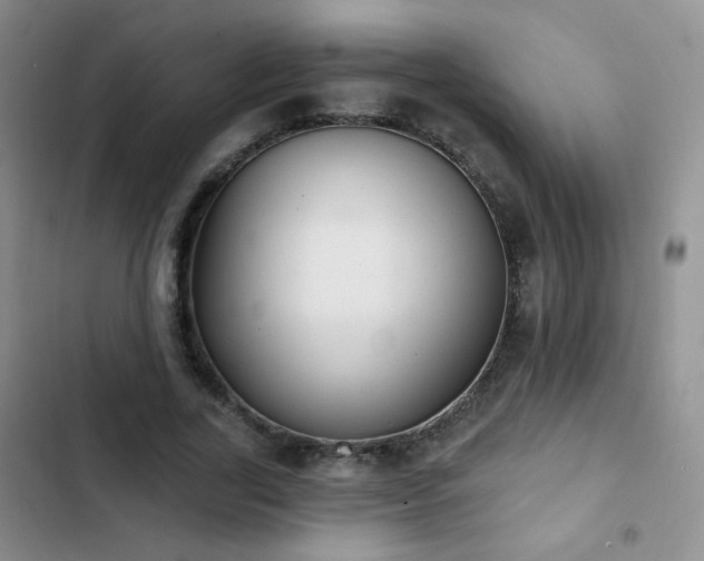 X0000102850731200808181417