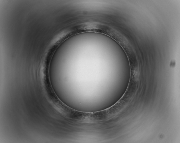 X0000102850732200808181417