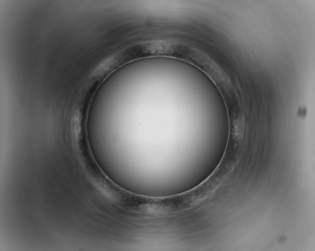 X0000102850733200808181417