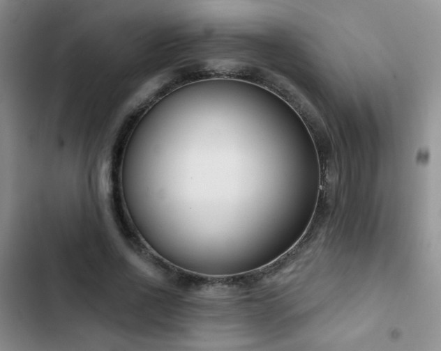 X0000102850734200808181417