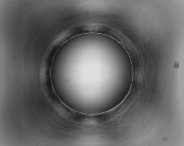X0000102850735200808181417
