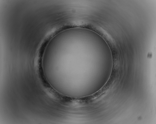 X0000102850736200808181417