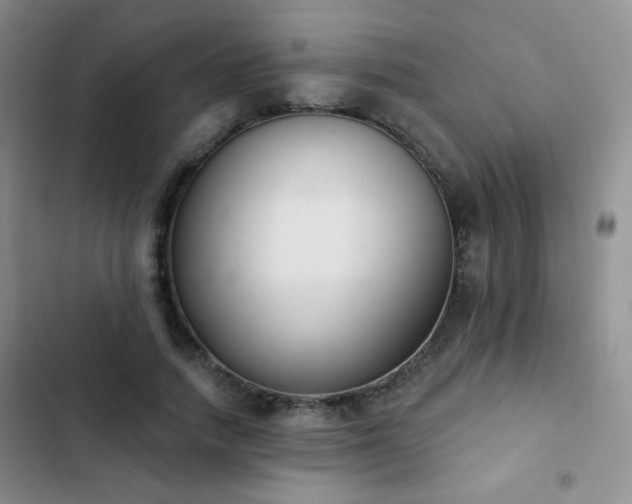 X0000102850738200808181417