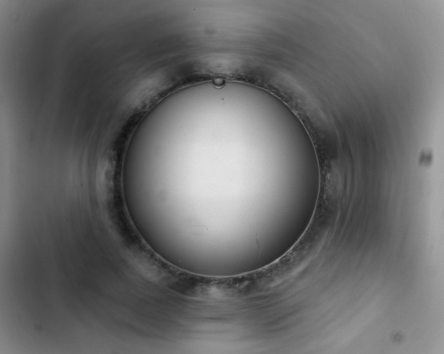 X0000102850739200808181417