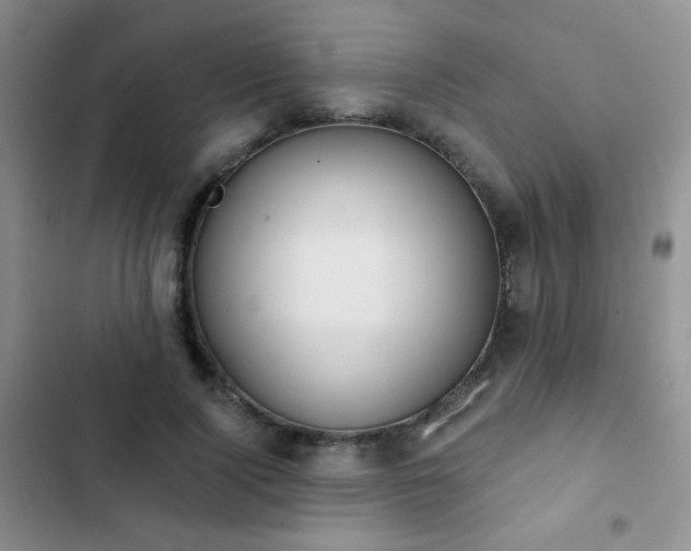 X0000102850740200808181417