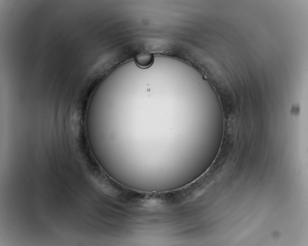 X0000102850741200808181417