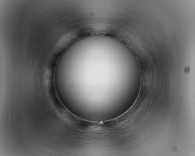 X0000102850742200808181417