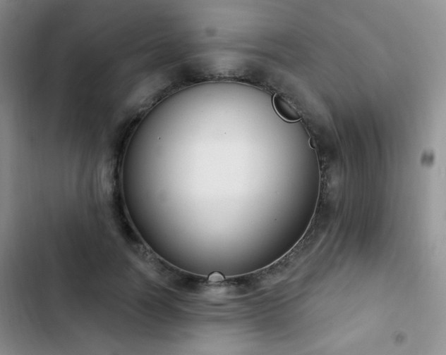 X0000102850746200808181417