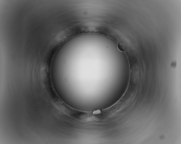 X0000102850747200808181417