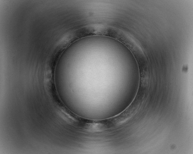 X0000102850748200808181417