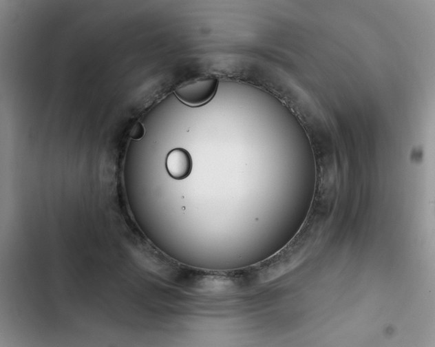 X0000102850749200808181417