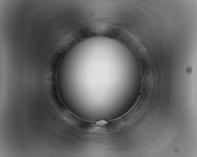 X0000102850750200808181417