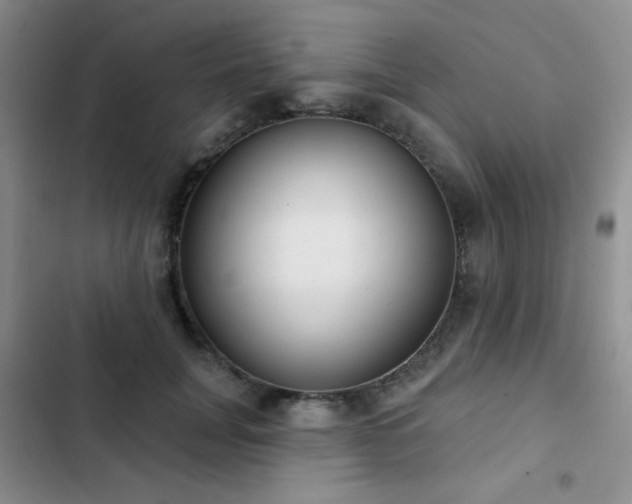 X0000102850751200808181417