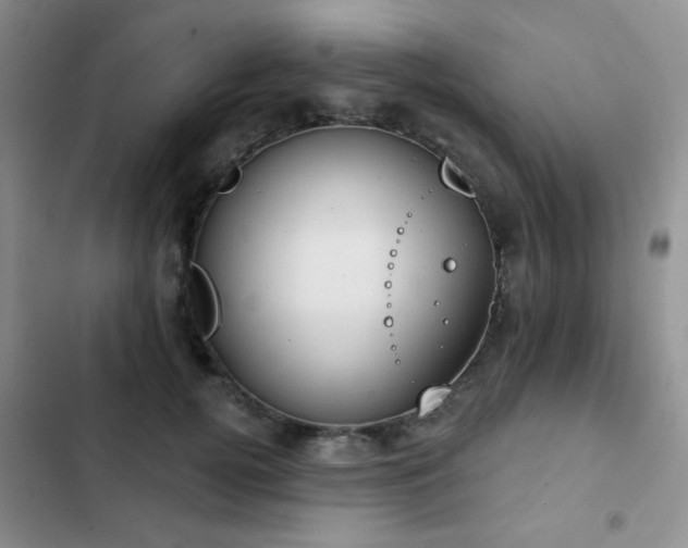 X0000102850752200808181417