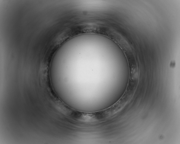 X0000102850753200808181417