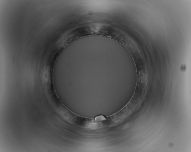 X0000102850754200808181417