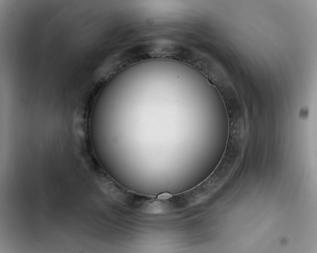X0000102850755200808181417