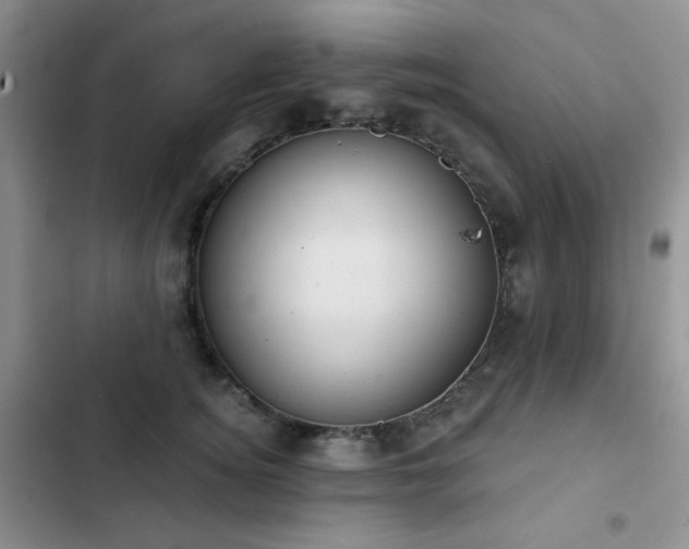 X0000102850756200808181417