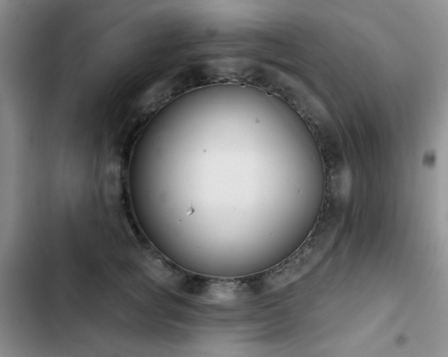 X0000102850757200808181417
