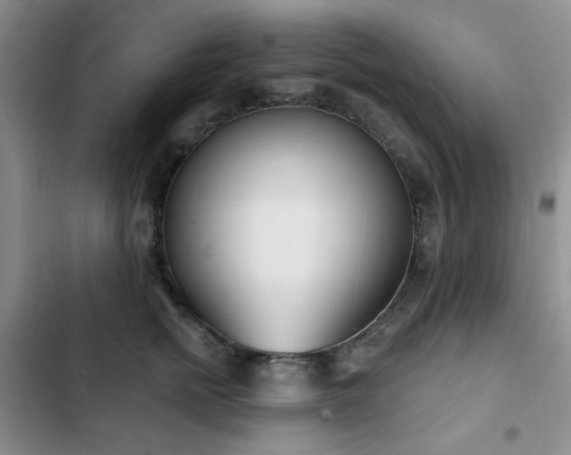 X0000102850758200808181417