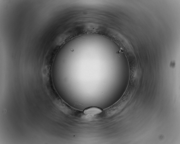 X0000102850759200808181417