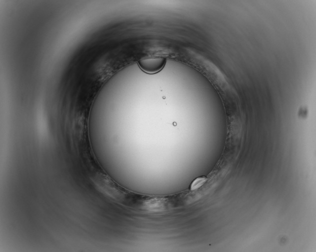 X0000102850761200808181417
