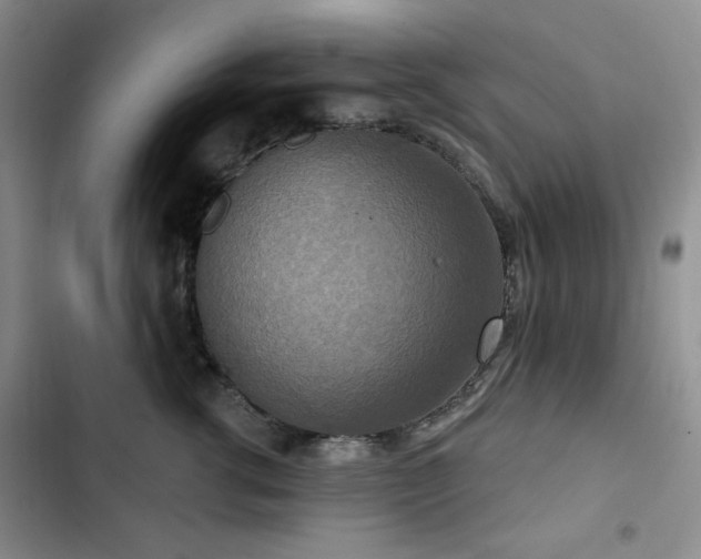 X0000102850762200808181417