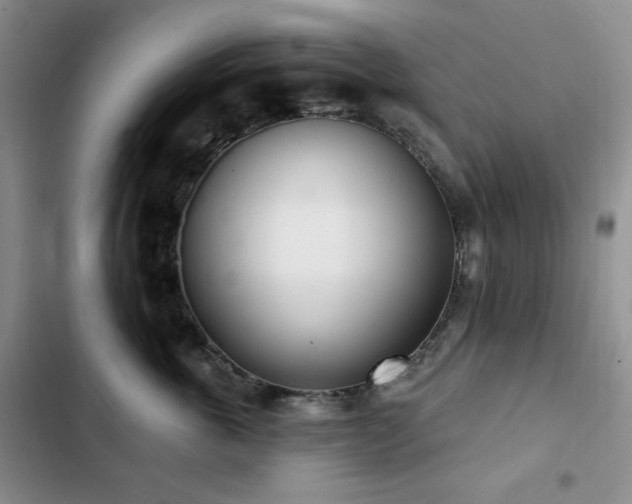 X0000102850763200808181417