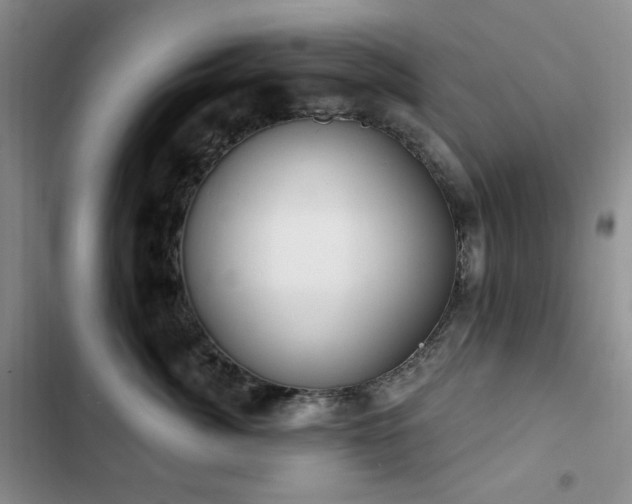 X0000102850764200808181417