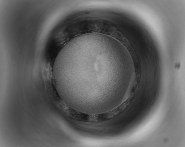 X0000102850766200808181417