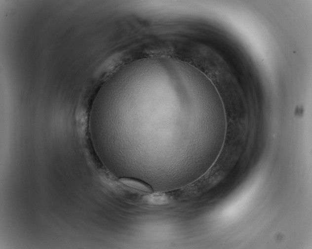 X0000102850767200808181417