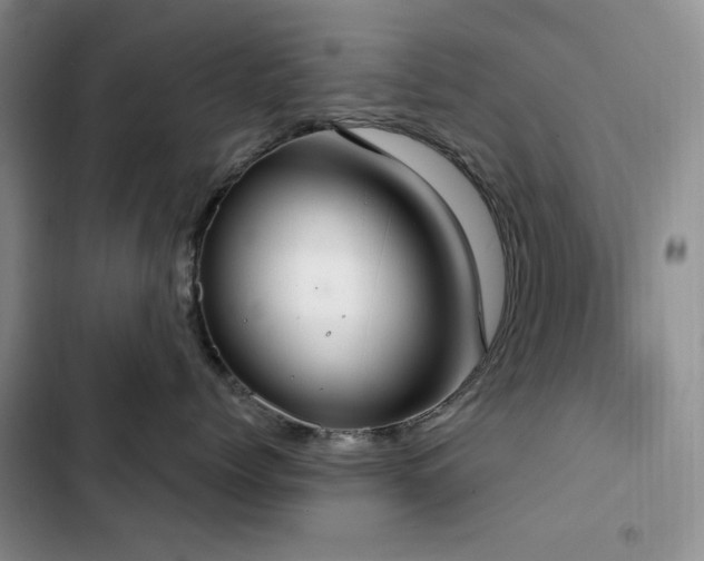X0000102850768200808181417