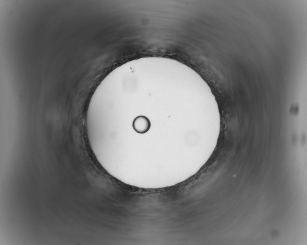 X0000102850769200808181417