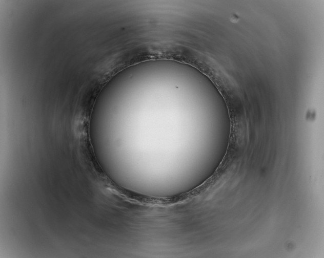 X0000102850770200808181417