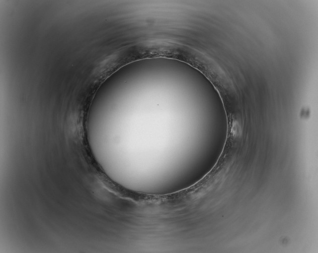 X0000102850771200808181417