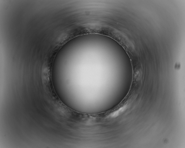 X0000102850772200808181417