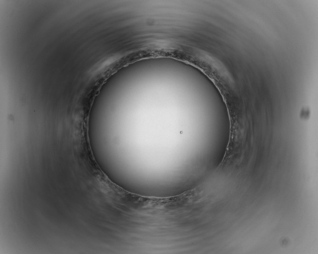 X0000102850773200808181417