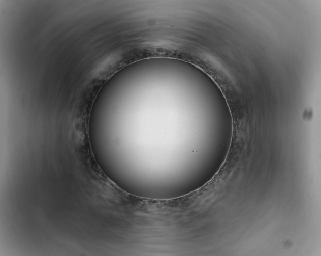 X0000102850774200808181417