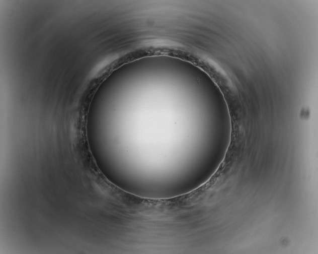 X0000102850775200808181417