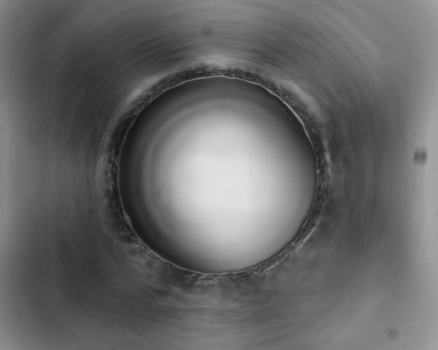 X0000102850776200808181417