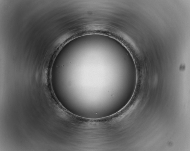 X0000102850777200808181417