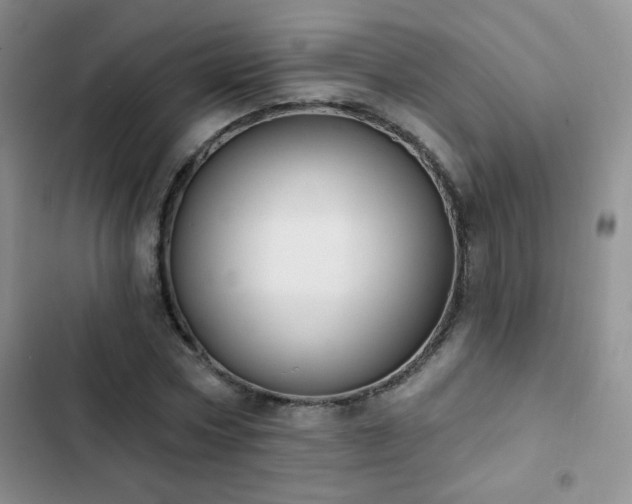 X0000102850778200808181417