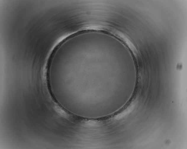 X0000102850779200808181417